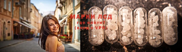 ПСИЛОЦИБИНОВЫЕ ГРИБЫ Гусиноозёрск