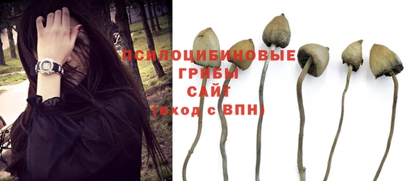 гидропоника Гусь-Хрустальный