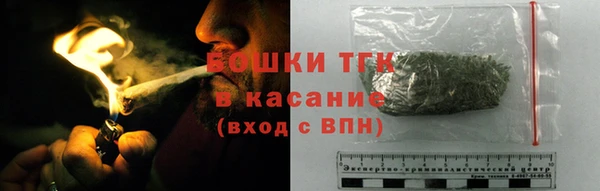 гидропоника Гусь-Хрустальный