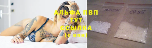 ПСИЛОЦИБИНОВЫЕ ГРИБЫ Гусиноозёрск